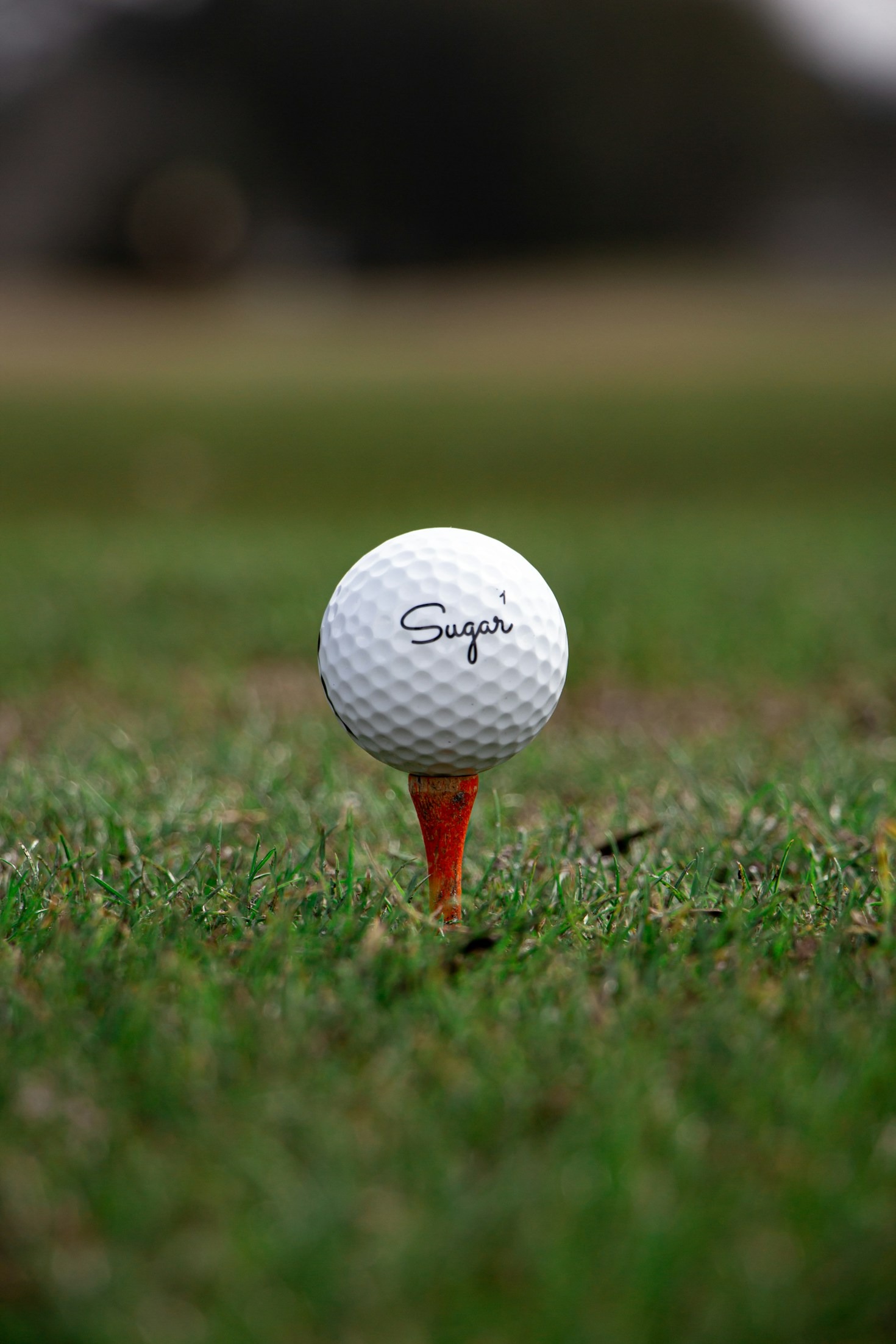 What’s in My Bag: The Gear I Trust on the Course